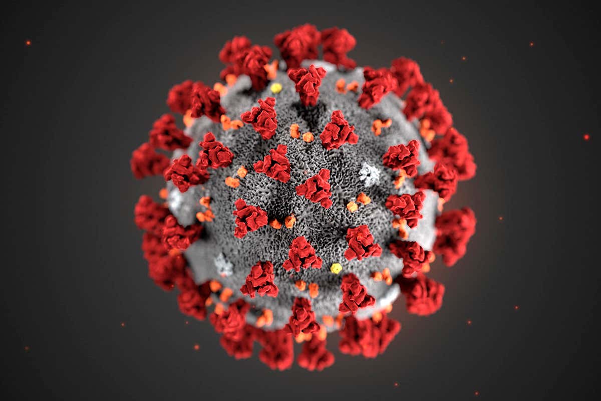 novel coronavirus